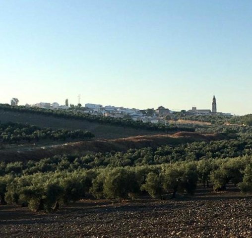 Vista paisajista (1)